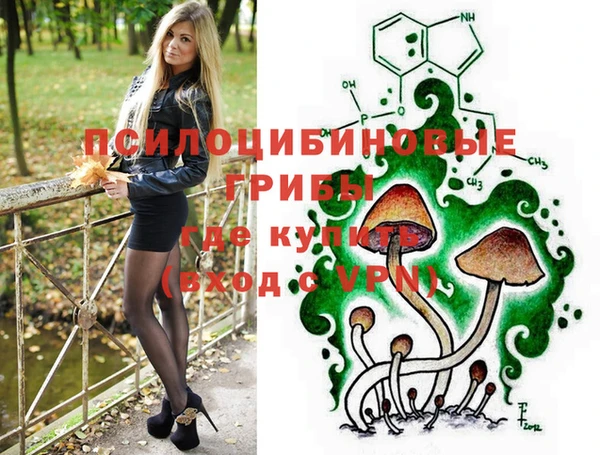 ешки Арсеньев