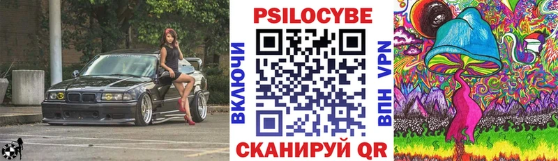 как найти закладки  Магадан  Псилоцибиновые грибы ЛСД 